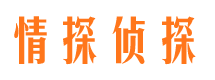 通海市婚外情调查